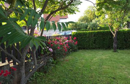 Apartment Nina - Foto 19