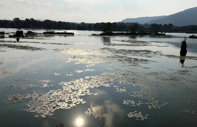 Apartment in Iseo With Swimming Pool - Photo 39