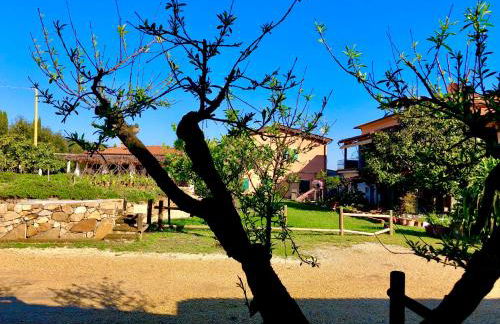 Agriturismo Montefabbrello - Foto 28