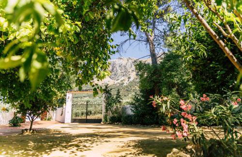 Cortijo Abril - Foto 25