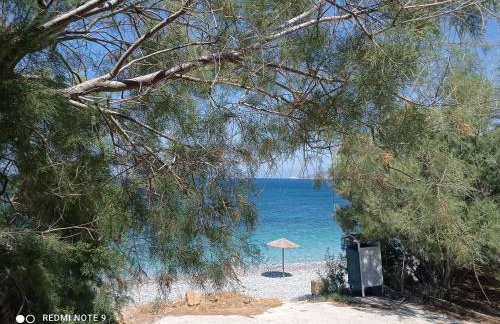 Argo Studios - Foto 10