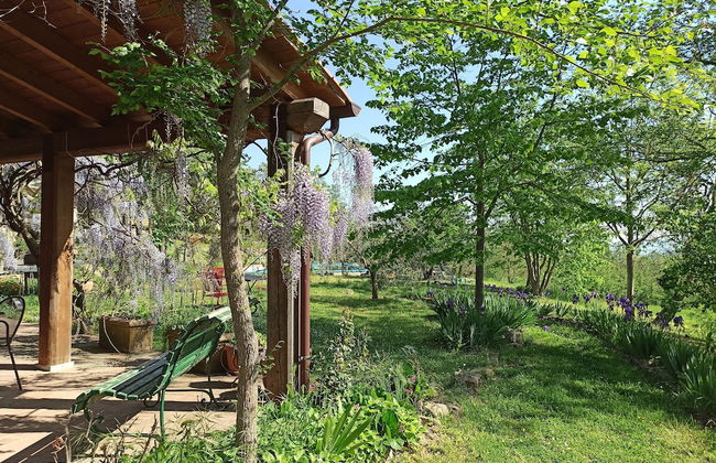 Agriturismo Casa Greppo - L'Ulivo - Foto 19