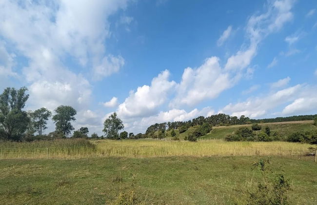 Ferienhof Neuendorfkrug, Lutow - Foto 34