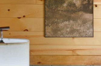 NEW! BEAR Necessities tiny home, outdoor theater! - Foto 12