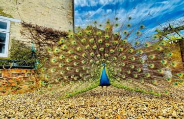 Eastfields Farm Barns - Foto 12