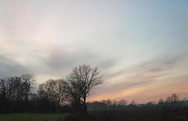 Ferienhaus Gransee unmittelbar am Stechlinsee - Radweg - Foto 24
