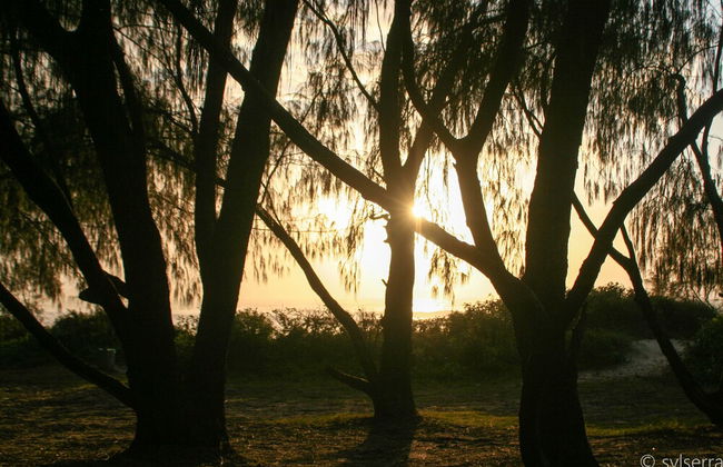 Recanto do Encanto Eco Beach Stay - Foto 34