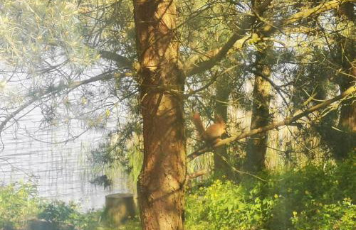 Ostoja Stacze - Foto 10