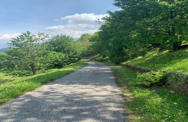 Ancient, Renovated Farmstead With Private, Equipped Garden - Photo 41