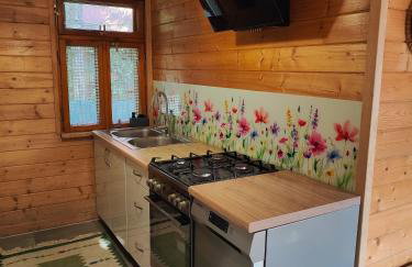 Sielanka, wyjątkowy dom, jacuzzi - Foto 6