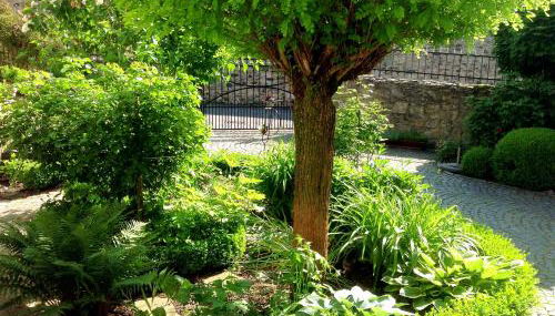 Gut Bunt Ferienhaus - Photo 3, Garden