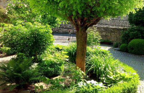 Gut Bunt Ferienhaus - Photo 3