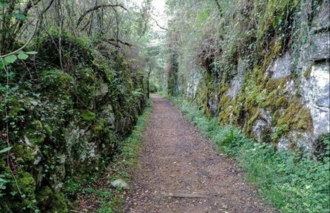 Tour della Vía Verde de la Gándara in bicicletta - Foto 6