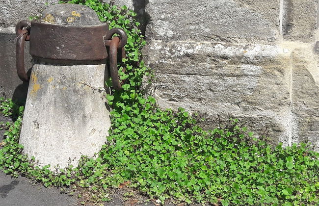 Apartment in the Historic Centre of Bayeux - Foto 18