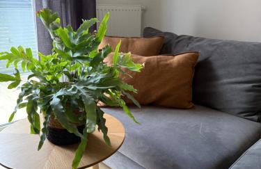 Apartament Centro 63 z bezpłatnym garażem - Foto 1