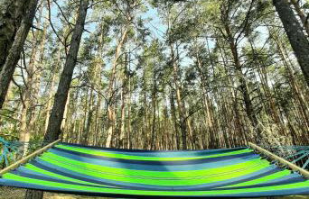 Woodland - dom z sauną i balią - Foto 25