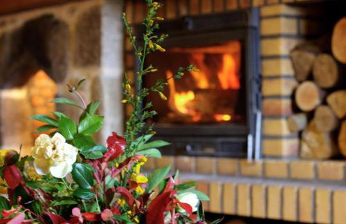 Maison en pierre avec sauna et jardin à Chalmazel - FR-1-496-39 - Foto 22