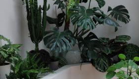 Expérience Inouïe à Orléans ! - Foto 4