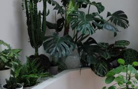 Expérience Inouïe à Orléans ! - Foto 4