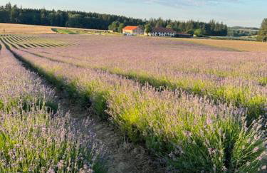 Landgut zur Mühle - Foto 55