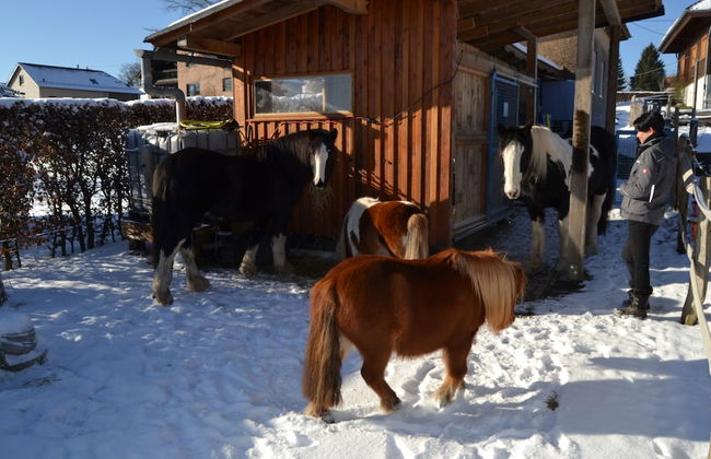 Ferien Bei Freunden Im Holzhaus - Photo 13