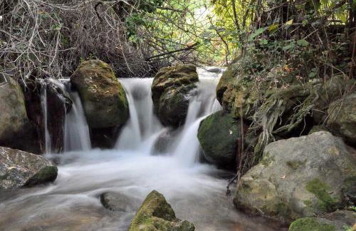Casa La Rosa P.N. Sierra de Grazalema - Foto 16