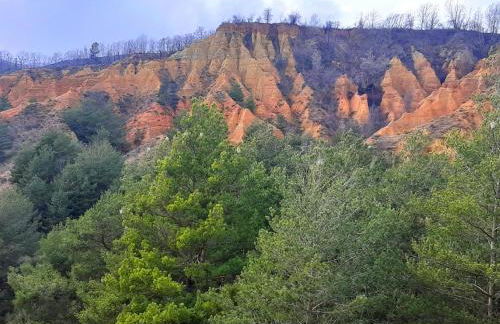 Cal Francès - Foto 59