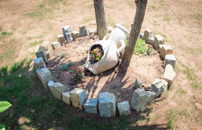 Agriturismo L'Oasi - Photo 31