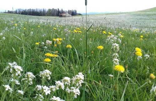 Moni's holiday home - Foto 7