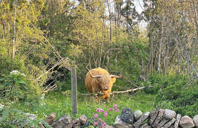 3 Person Holiday Home in Lottorp - Foto 21