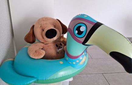 Villa Marin Smoljanci - Foto 75