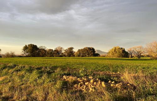 Moderno apartamento en Empordà Golf - Foto 31