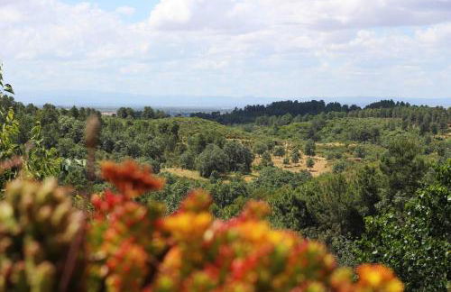 Casa Rural - Apartamentos Atuvera - Photo 7