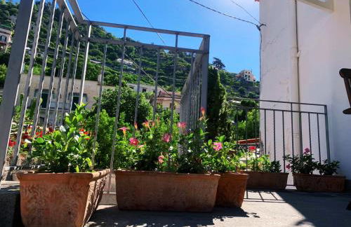 L'albero della vita - Photo 6