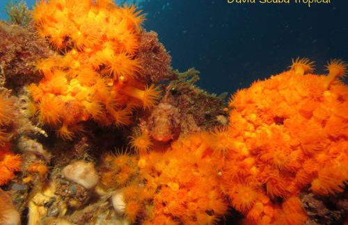 ESPECTACULARES VISTAS AL MAR - Foto 17