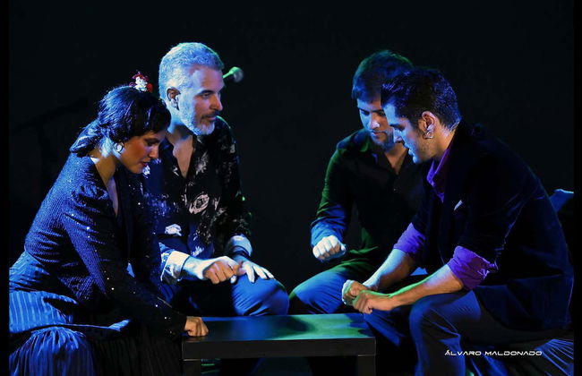 Espectáculo flamenco en el tablao Alma - Foto 4