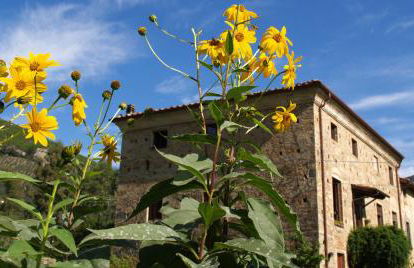 Al Palazzaccio - Foto 2