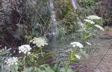 Casas Rurales Carpe Diem - Foto 39