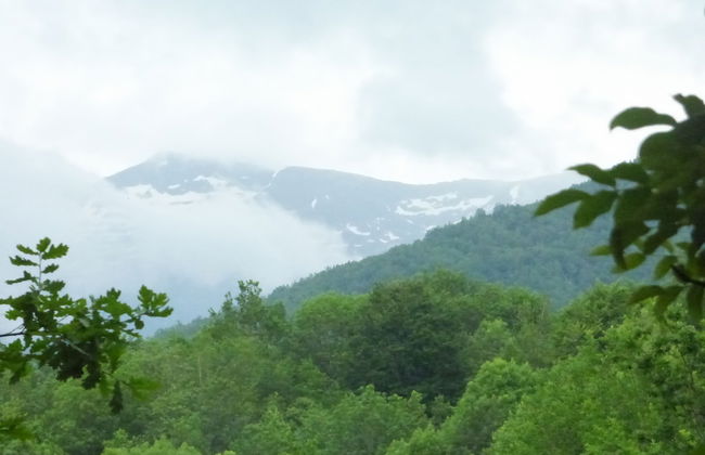 dtente sky lodge - Foto 61