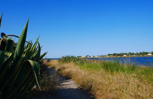 Lagon 173 - Maison de Vacances - 3 Chambres - Photo 16
