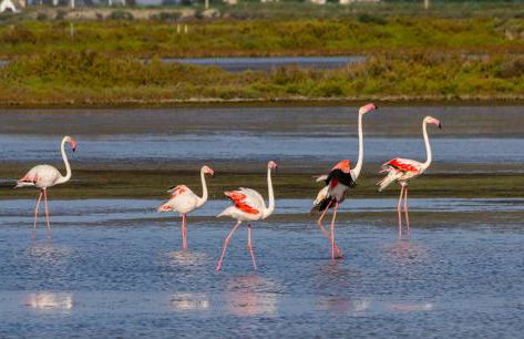 Apt Familiar con vistas al mar - Foto 37