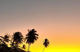 Casa Aratu Guaiú Barra de Mamanguape - Photo 29