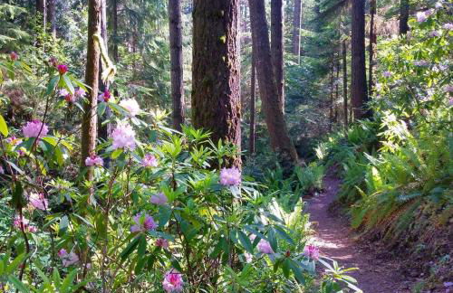 Hood Canal Resort in Union, WA - Foto 51