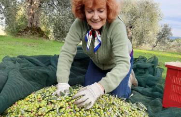 Montebello degli Olivi - Foto 36