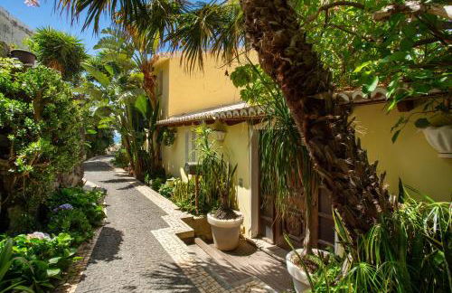 Bela Vigia - Foto 75