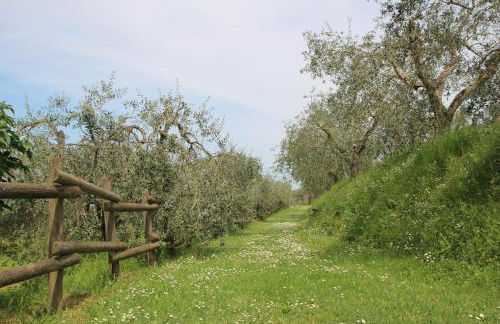 Romitorio di Castiglione del Lago - Photo 25