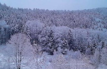 RELAX CHALET Nature Retreat - isolé sur 3 hectares - confort de LUXE - maison entière 150m2 - près de La Bresse - Foto 25