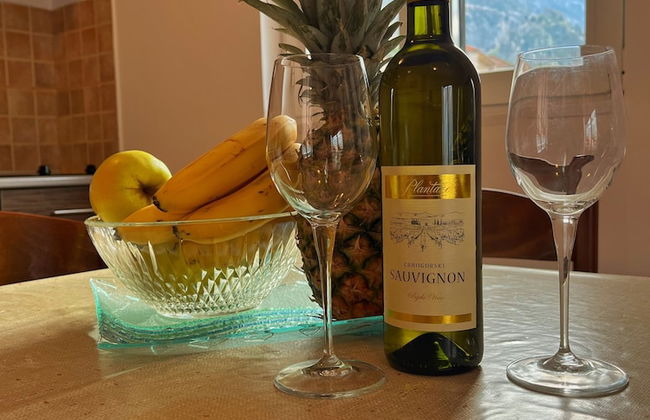 Apartments Lazarevic - Photo 51