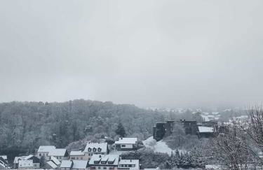 Ferienwohnungen Eifelstuben mit Charme - am See, nahe Burg - Photo 25