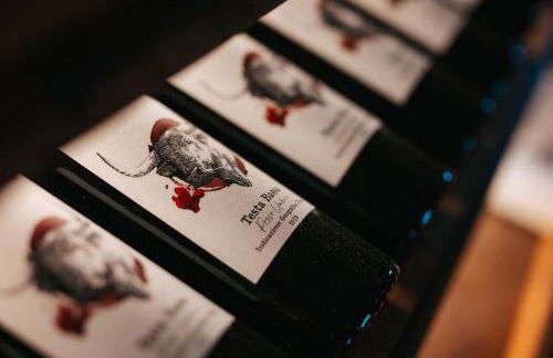 Di Colle in Colle - Agriturismo - Foto 33